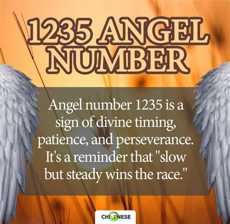 1235 angel number meaning|ANGEL NUMBERS